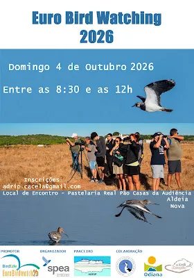 EuroBirdwatch 2026