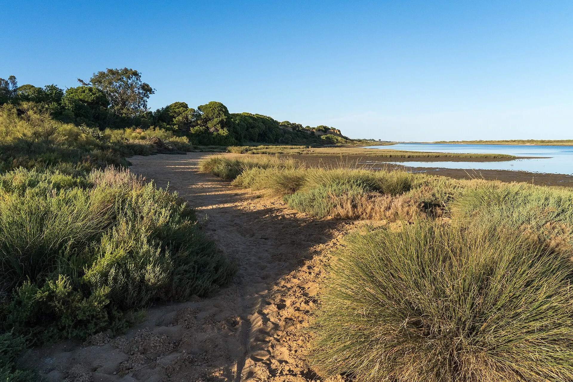 Caiaque e SUP na Ria Formosa: Regras, Marés e Onde Alugar